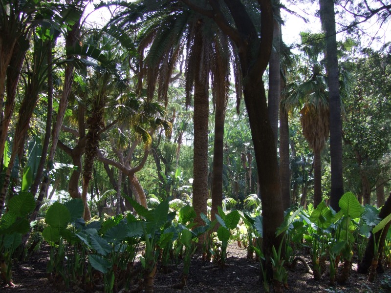 Anadalusien 2009 - 0151 